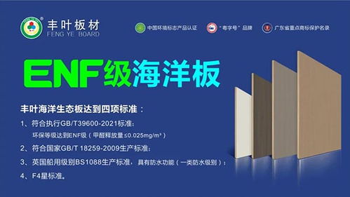 豐葉板材強勢登陸高鐵傳媒春節(jié)檔，開啟品牌推廣新篇章